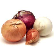 The Color of Onions